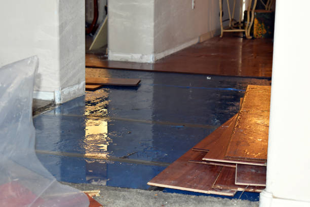 Professional Basement Flood Cleanup technician working in Athol, MA